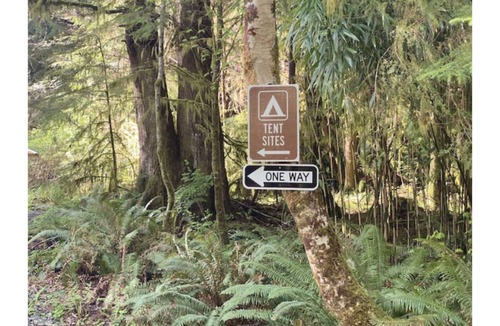Forks RV Rental | Primitive Tent Site in Enchanted Rain Forest - Site #1