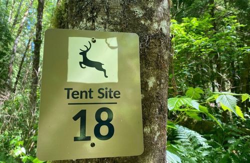 Forks RV Rental | Primitive Tent Site in Enchanted Rain Forest - Site #18