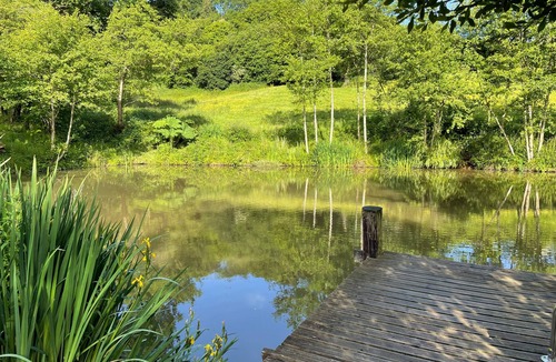 Cannards Grave House | Primrose