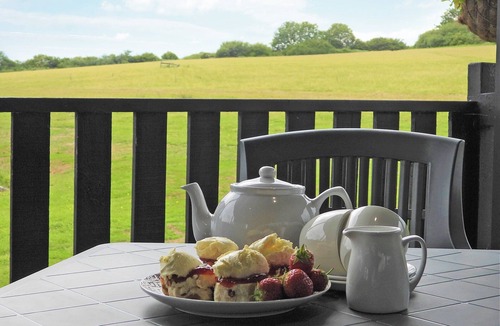 Beaworthy Cottage | Primrose Lodge - UK13447