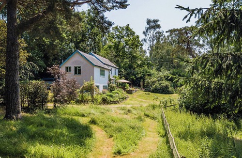 New Forest District Cottage | Primrose Spinney