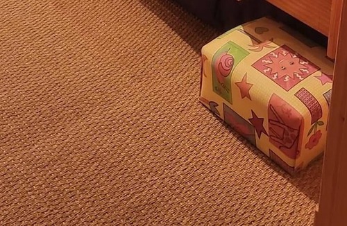 Bornesketaig Apartment | Princes point villa all on ground floor