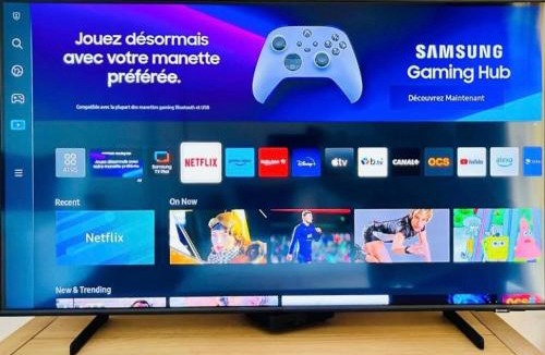 L'Annonciade Apartment | Princess Palace Monaco