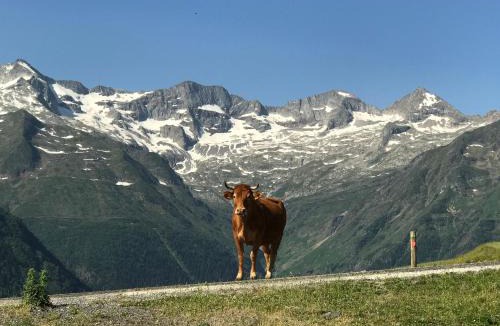 Saint-Aventin Apartment | PRINCESSE DES NEIGES