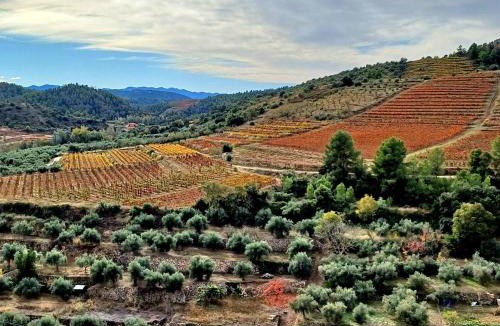 La Vilella Baixa House | PRIORAT Ca la Iolanda "RELAX ESCALADA Y NATURALEZA"