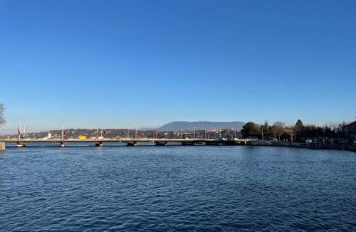 Coulouvreniere Rois Apartment | Privat