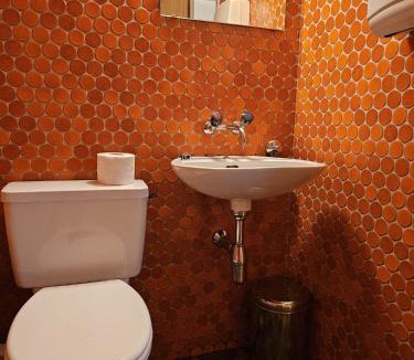 Old Town House | Privat Grosse Zimmer -Mars- mit gemeinsamer Küche und Bad in Altstadt Chur