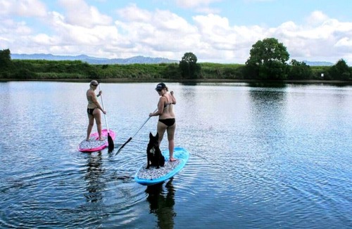 South Murwillumbah House | Private 100m Riverfront - South Murwillumbah