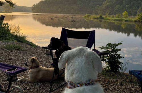 Edwards House | Private 3BR Treehouse Retreat @ Lake Ozark