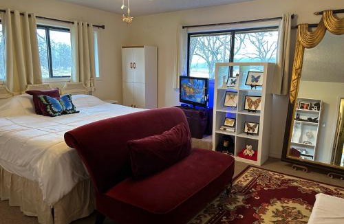 Hamilton Apartment | Private 5 star ranch duplex with million dollar view pet & smoking friendly