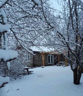 Elizabethtown-Kitley House | Private 76 Acre Rideau Lakes Retreat with Trails and Horses