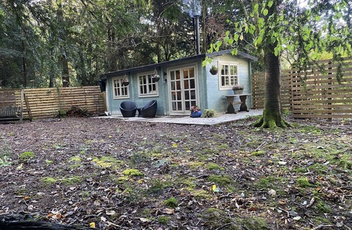 Worth Cabin | Private and Secluded Cabin in Rowfant