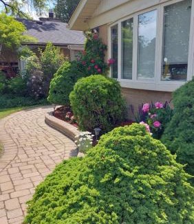 Rexdale Apartment | Private Apartment Close to Airport Toronto Pearson