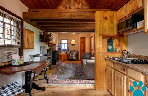 Prattsburgh Cabin | Private cabin and waterfall nestled among the hills!
