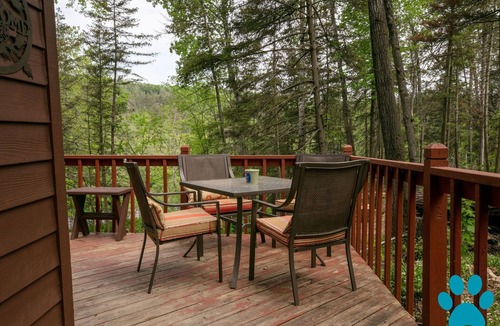 Prattsburgh Cabin | Private cabin and waterfall nestled among the hills!