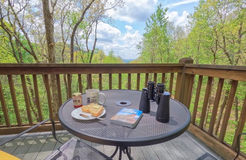 Dillard Cabin | Private Cabin Getaway w/Fireplace, View & Games 🏔️⛳️