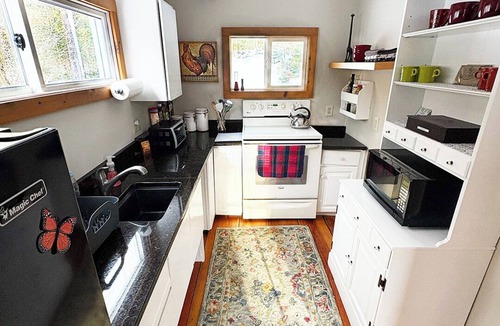 Belmont Cabin | Private Cabin/Pets OK/AC/Minutes to Okemo/Fast WiFi