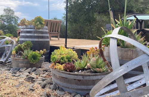 Geyserville Cabin | Private Cabin with Views on 16 Acre Estate