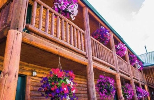 Last Chance Cabin | Private Cabins 2 - 2 Queens