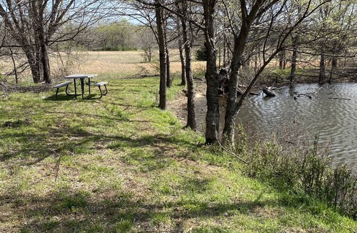Council Hill Cottage | Private Cottage on 38 acres with two ponds and lake access.