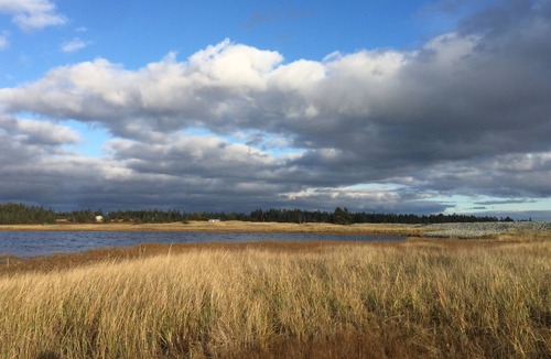 Bridgewater Apartment | Private Cozy and Functional 1 bdrm, Bridgewater NS