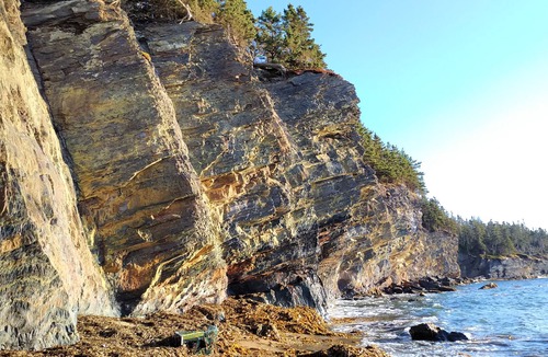 Bridgewater Apartment | Private Cozy and Functional 1 bdrm, Bridgewater NS