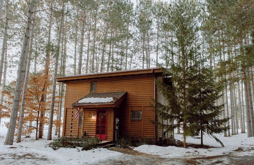Thompsonville Cabin | Private/Cozy Cabin | Shuttle Pass Included!
