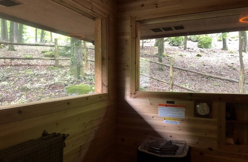 Mountainburg Cottage | Private Cozy Cottage in the woods with Sauna!