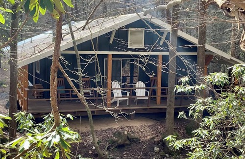 Cherry Log Cabin | Private Creek Cabin w/Firepit + Direct Access