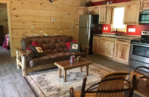Topton Cabin | Private dock, Wifi, Lakefront, Rustic Appalachian Cabin on Nantahala Lake!