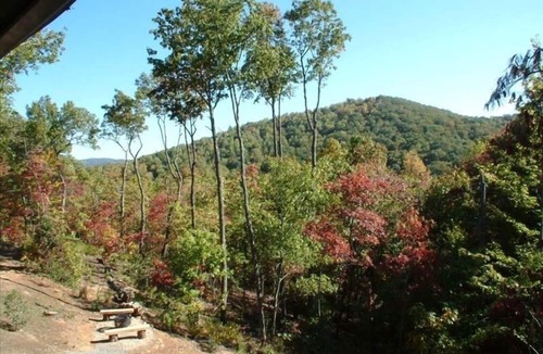 Ellijay Cabin | Private Elegant Modern Rustic Cozy Refreshing and Healing