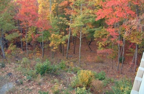 Ellijay Cabin | Private Elegant Modern Rustic Cozy Refreshing and Healing