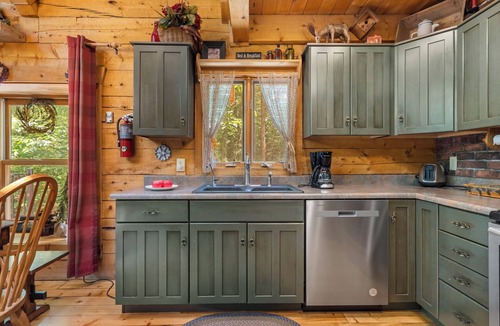 Blue Eye Cabin | Private Engleman Spruce Cabin with Game Room, Community Pool & Car Charger