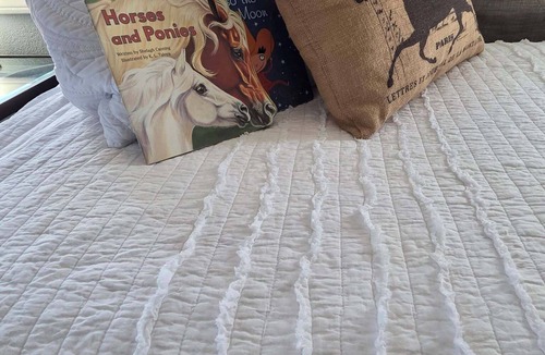 Pilot Hill Bed & Breakfast | Private Farm Stay on Gold Country Estate w/Horses and Donkeys
