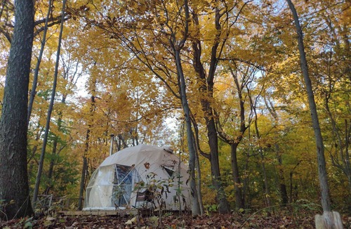 West Elgin Cabin | private Forest dome overlooking Lake Erie