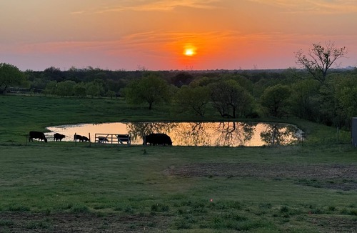 Fort Worth Cottage | Private Furnished Guest House