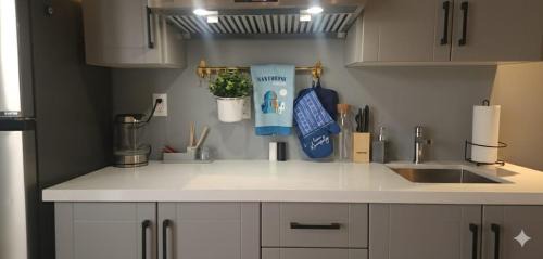 Mississauga House | Private Greece inspired guest suite in Erindale