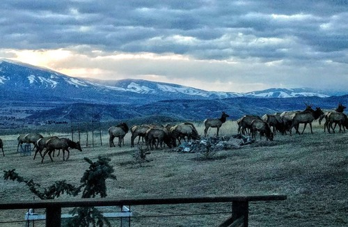 Salmon Apartment | Private Guest Suite, "Hilltops II"