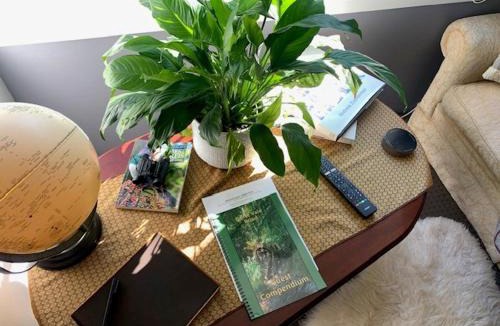 Whanganui House | Private Guest Wing - Durie Vale Lodge