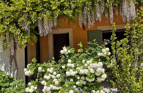 Montbrison-sur-Lez House | Private heated infinity pool. Jacuzzi, lavender, mountains and vineyards.