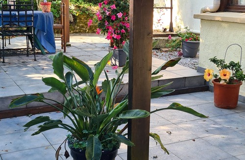 Breuil-Barret House | Private heated pool, a haven to share with friend and family, secluded location.