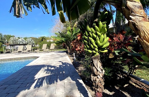 West Bradenton House | Private Heated Pool Home on the bayou leading to the Gulf of Mexico☼