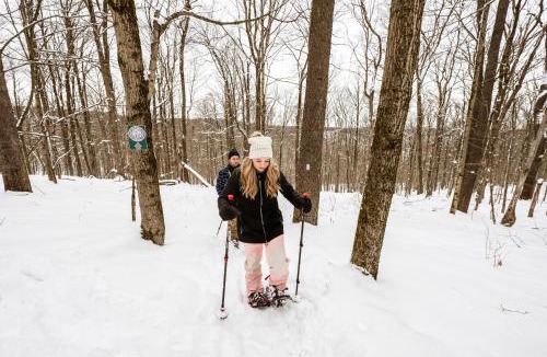 Ellicottville Ski Chalet | Private Hideaway with Hot Tub - Stylish & Serene