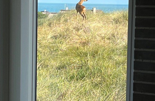 Saltum House | Private holiday home with sea view