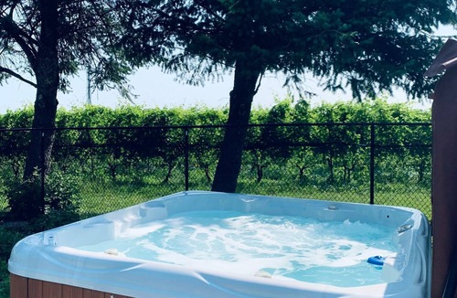 Niagara-on-the-Lake Other | Private home, hot tub, in-ground pool, vineyard views.