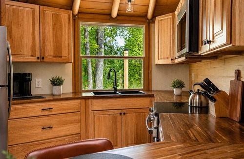 Almo Cabin | Private Hot Tub + King Bed | Eagle Retreat