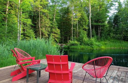 Mansonville Apartment | Private Hummingbird Room - Modern & Cozy