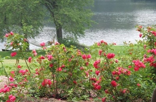 Delhi House | Private Lake at Rippling Waters surrounded by 400 acres