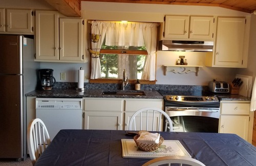 Cheboygan Cottage | Private Lakefront, Winter Wonderland