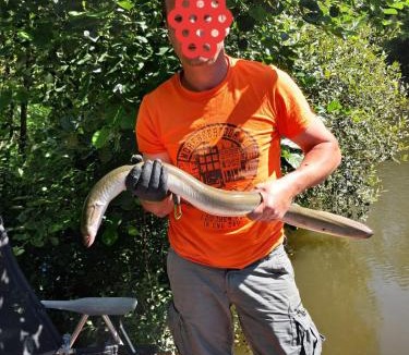 Renac Cabin | Private Lakeside Retreat